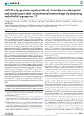 Cover page: miR-27a-3p protects against blood-brain barrier disruption and brain injury after intracerebral hemorrhage by targeting endothelial aquaporin-11.