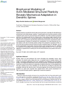 Cover page: Biophysical Modeling of Actin-Mediated Structural Plasticity Reveals Mechanical Adaptation in Dendritic Spines.