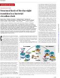 Cover page: Structural basis of the day-night transition in a bacterial circadian clock