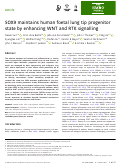 Cover page: SOX9 maintains human foetal lung tip progenitor state by enhancing WNT and RTK signalling.