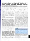 Cover page: Bacterial cytological profiling rapidly identifies the cellular pathways targeted by antibacterial molecules