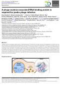 Cover page: A phage nucleus-associated RNA-binding protein is required for jumbo phage infection