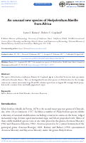 Cover page: An unusual new species of Hedychridium Abeille from Africa