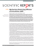 Cover page: Mechanisms Restricting Diffusion of Intracellular cAMP