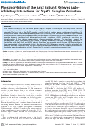 Cover page: Phosphorylation of the Arp2 Subunit Relieves Auto-inhibitory Interactions for Arp2/3 Complex Activation
