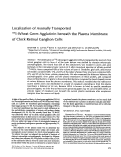 Cover page: Localization of axonally transported 125I-wheat germ agglutinin beneath the plasma membrane of chick retinal ganglion cells.