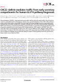 Cover page: CHC22 clathrin mediates traffic from early secretory compartments for human GLUT4 pathway biogenesis