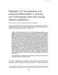 Cover page: Regulation of neurogenesis and neuronal differentiation in primary and immortalized cells from mouse olfactory epithelium.