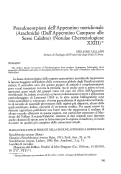 Cover page: Pseudoscorpioni dell’Appennino meridionale (Arachnida) (Dall’Appennino Campano alle Serre Calabre) (Notulae Chernetologicae XXIII)