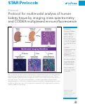 Cover page: Protocol for multimodal analysis of human kidney tissue by imaging mass spectrometry and CODEX multiplexed immunofluorescence.