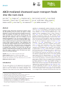 Cover page: ABCB-mediated shootward auxin transport feeds into the root clock.