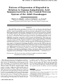 Cover page: Pattern of expression of engrailed in relation to gamma‐aminobutyric acid immunoreactivity in the central nervous system of the adult grasshopper