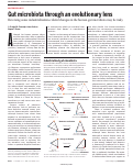 Cover page: Gut microbiota through an evolutionary lens