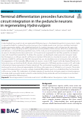 Cover page: Terminal differentiation precedes functional circuit integration in the peduncle neurons in regenerating Hydra vulgaris