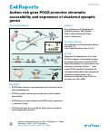 Cover page: Autism risk gene POGZ promotes chromatin accessibility and expression of clustered synaptic genes