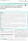 Cover page: The Akt signaling pathway is required for tissue maintenance and regeneration in planarians