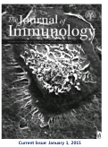 Cover page: Crosstalk among IL-23 and DNAX Activating Protein of 12 kDa-Dependent Pathways Promotes Osteoclastogenesis