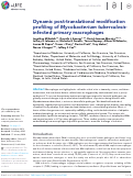 Cover page: Dynamic post-translational modification profiling of M. tuberculosis-infected primary macrophages