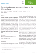 Cover page: The unfolded protein response is shaped by the NMD pathway