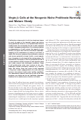 Cover page: Virgin β-Cells at the Neogenic Niche Proliferate Normally and Mature Slowly