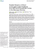 Cover page: Parallel Streams of Direct Corticogeniculate Feedback from Mid-level Extrastriate Cortex in the Macaque Monkey