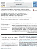 Cover page: La Piedad Michoacán Mexico Virus V protein antagonizes type I interferon response by binding STAT2 protein and preventing STATs nuclear translocation