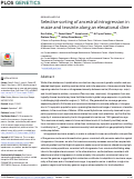 Cover page: Selective sorting of ancestral introgression in maize and teosinte along an elevational cline