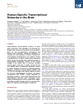 Cover page: Human-Specific Transcriptional Networks in the Brain