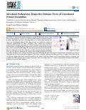 Cover page: Structural Preferences Shape the Entropic Force of Disordered Protein Ensembles