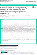 Cover page: Natural variation in genes potentially involved in plant architecture and adaptation in switchgrass (Panicum virgatum L.)