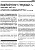 Cover page: Global Identification and Characterization of Both O-GlcNAcylation and Phosphorylation at the Murine Synapse*