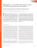 Cover page: LSR/angulin-1 is a tricellular tight junction protein involved in blood–brain barrier formation