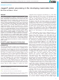 Cover page: Jagged1 protein processing in the developing mammalian lens