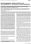 Cover page: Antifungal Activity of Bacillus Species Against Fusarium and Analysis of the Potential Mechanisms Used in Biocontrol