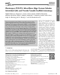 Cover page: Electrospun PGS:PCL Microfibers Align Human Valvular Interstitial Cells and Provide Tunable Scaffold Anisotropy