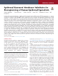 Cover page: Epidermal Basement Membrane Substitutes for Bioengineering of Human Epidermal Equivalents