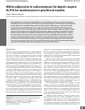 Cover page: White adipocytes in subcutaneous fat depots require KLF15 for maintenance in preclinical models.