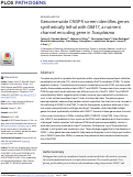 Cover page: Genome-wide CRISPR screen identifies genes synthetically lethal with GRA17, a nutrient channel encoding gene in Toxoplasma