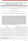 Cover page: Induced expression of expanded CGG RNA causes mitochondrial dysfunction in vivo