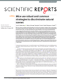 Cover page: Mice use robust and common strategies to discriminate natural scenes.