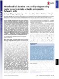 Cover page: Mitochondrial alarmins released by degenerating motor axon terminals activate perisynaptic Schwann cells