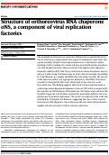 Cover page: Structure of orthoreovirus RNA chaperone σNS, a component of viral replication factories