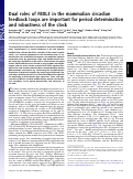 Cover page: Dual roles of FBXL3 in the mammalian circadian feedback loops are important for period determination and robustness of the clock.