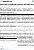 Cover page: Retinylidene chromophore hydrolysis from mammalian visual and non-visual opsins.