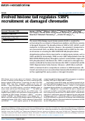 Cover page: Evolved histone tail regulates 53BP1 recruitment at damaged chromatin