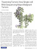 Cover page: Traversing Tumors: How Single-cell RNA Sequencing Maps Malignant Tumors