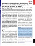 Cover page: Arginine starvation-associated atypical cellular death involves mitochondrial dysfunction, nuclear DNA leakage, and chromatin autophagy