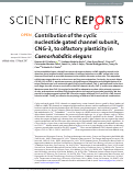 Cover page: Contribution of the cyclic nucleotide gated channel subunit, CNG-3, to olfactory plasticity in Caenorhabditis elegans