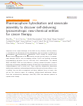 Cover page: Pharmacophore hybridisation and nanoscale assembly to discover self-delivering lysosomotropic new-chemical entities for cancer therapy