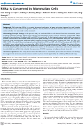 Cover page: RNAa Is Conserved in Mammalian Cells